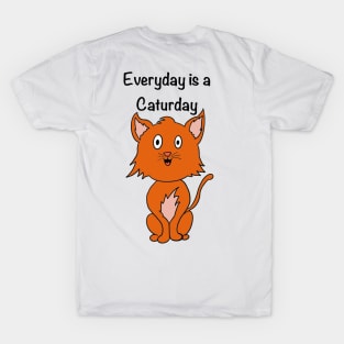 Everyday is a caturday T-Shirt